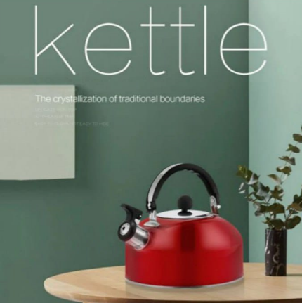 Stainless steel Kettle